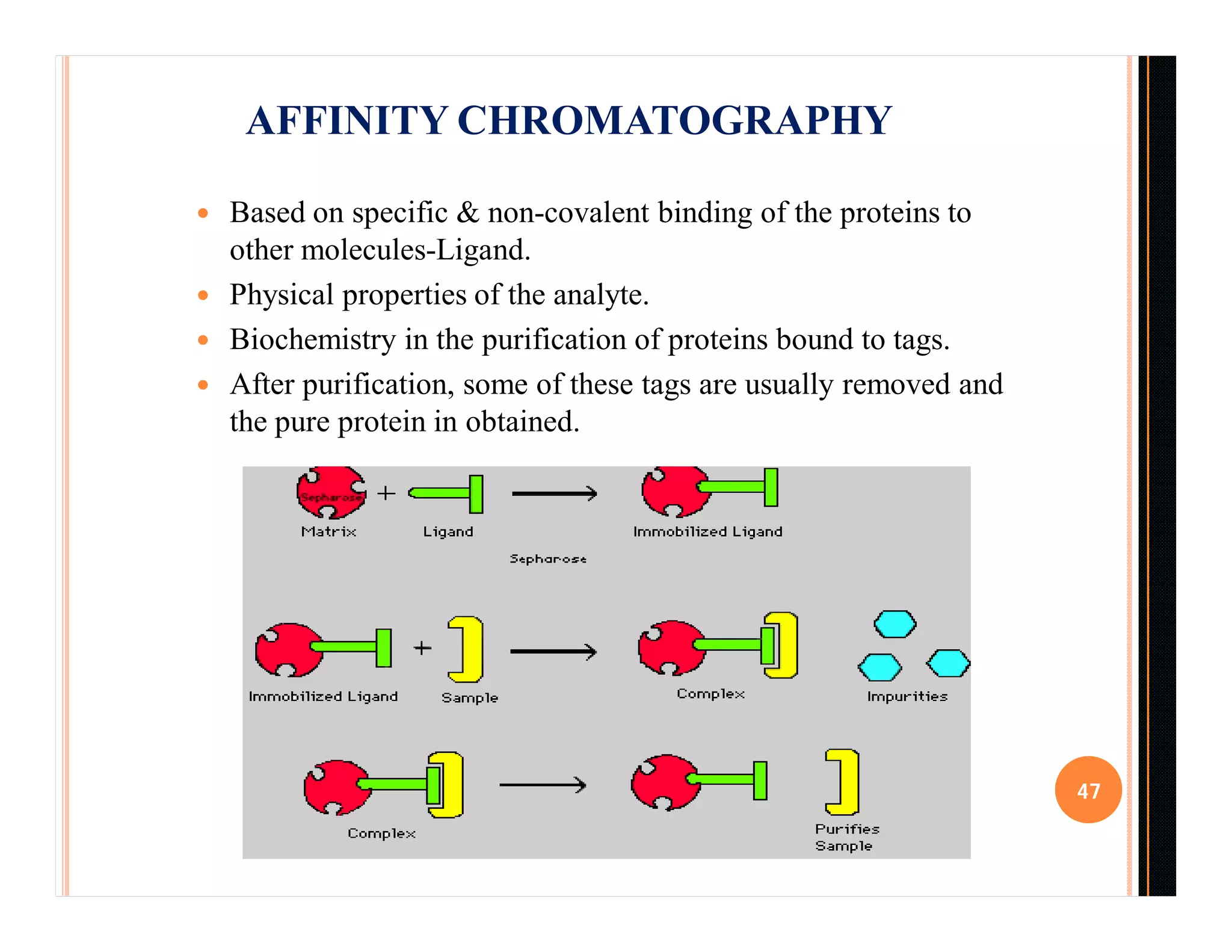  Based on specific & non-covalent binding of the proteins to
other molecules-Ligand.
 Physical properties of the analyte.
 Biochemistry in the purification of proteins bound to tags.
 After purification, some of these tags are usually removed and
the pure protein in obtained.
47
AFFINITY CHROMATOGRAPHY
 
