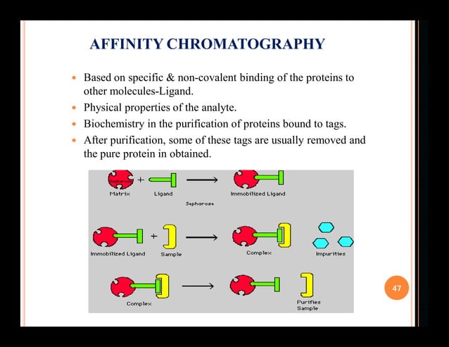 Affinity Chromatography Principles And Methods – ERLH