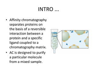 INTRO ...
• Affinity chromatography
separates proteins on
the basis of a reversible
interaction between a
protein and a specific
ligand coupled to a
chromatography matrix.
• AC is designed to purify
a particular molecule
from a mixed sample.
 