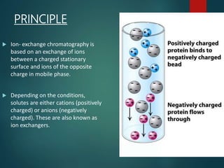 PRINCIPLE
 Ion- exchange chromatography is
based on an exchange of ions
between a charged stationary
surface and ions of the opposite
charge in mobile phase.
 Depending on the conditions,
solutes are either cations (positively
charged) or anions (negatively
charged). These are also known as
ion exchangers.
 
