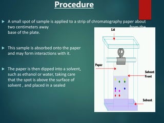 chromatography examples