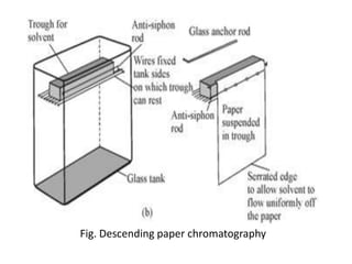 Fig. Descending paper chromatography
 