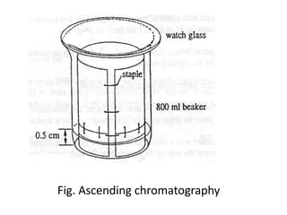 Fig. Ascending chromatography
 