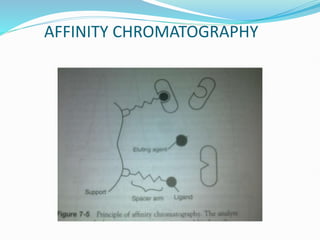 AFFINITY CHROMATOGRAPHY
 