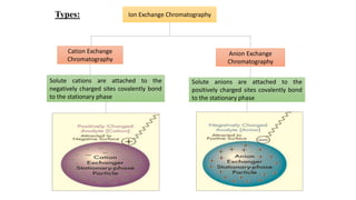 Ion Exchange Chromatography
Cation Exchange
Chromatography
Anion Exchange
Chromatography
Solute cations are attached to the
negatively charged sites covalently bond
to the stationary phase
Solute anions are attached to the
positively charged sites covalently bond
to the stationary phase
Types:
 