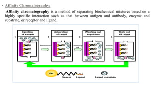 • Affinity Chromatography:
Affinity chromatography is a method of separating biochemical mixtures based on a
highly specific interaction such as that between antigen and antibody, enzyme and
substrate, or receptor and ligand.
 