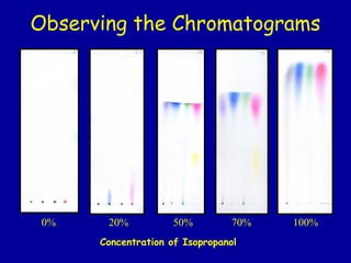 Observing the Chromatograms
Concentration of Isopropanol
0% 20% 50% 70% 100%
 