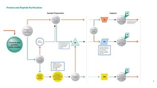 chromatography in downstream processing .pdf