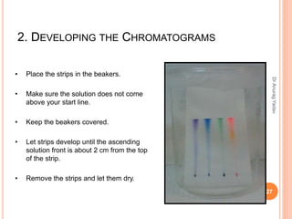 2. DEVELOPING THE CHROMATOGRAMS
• Place the strips in the beakers.
• Make sure the solution does not come
above your start line.
• Keep the beakers covered.
• Let strips develop until the ascending
solution front is about 2 cm from the top
of the strip.
• Remove the strips and let them dry.
27
DrAnuragYadav
 