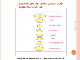 Separation of Total Lipid into
different Classes
Mobile Phase: hexane: diethyl ether: formic acid (80:20:2)
Cholesteryl esters
TAG
Free fatty acids
Cholesterol
1,3-DAG
1,2-DAG
Monoacyl glycerols
Phospholipids
50
DrAnuragYadav
 