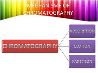 MECHANISME OF CHROMATOGRAPHY 