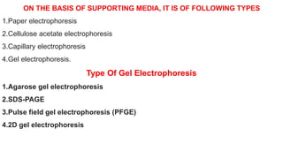 ON THE BASIS OF SUPPORTING MEDIA, IT IS OF FOLLOWING TYPES
1.Paper electrophoresis
2.Cellulose acetate electrophoresis
3.Capillary electrophoresis
4.Gel electrophoresis.
Type Of Gel Electrophoresis
1.Agarose gel electrophoresis
2.SDS-PAGE
3.Pulse field gel electrophoresis (PFGE)
4.2D gel electrophoresis
 