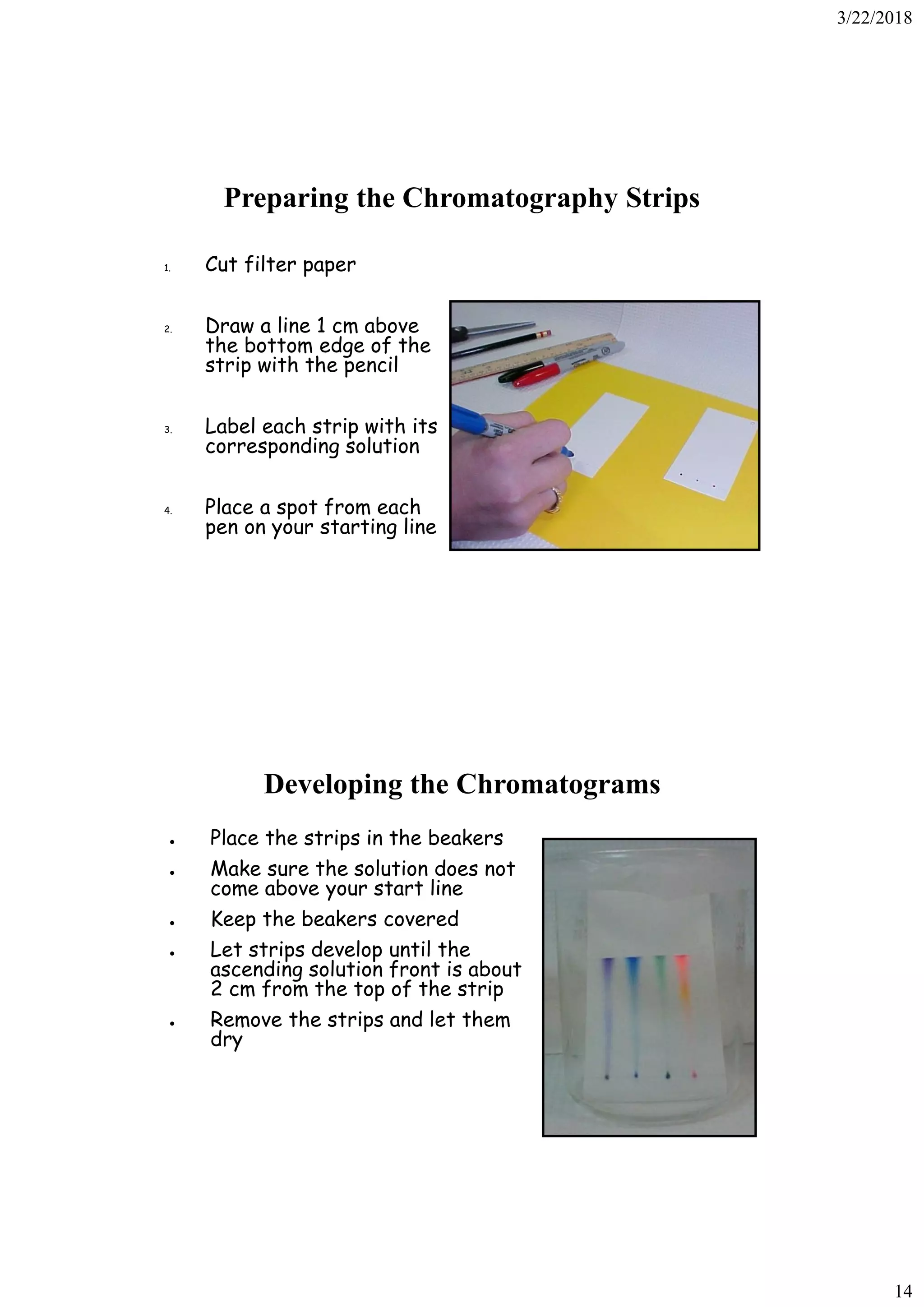 3/22/2018
14
Preparing the Chromatography Strips
1. Cut filter paper
2. Draw a line 1 cm above
the bottom edge of the
strip with the pencil
3. Label each strip with its
corresponding solution
4. Place a spot from each
pen on your starting line
Developing the Chromatograms
● Place the strips in the beakers
● Make sure the solution does not
come above your start line
● Keep the beakers covered
● Let strips develop until the
ascending solution front is about
2 cm from the top of the strip
● Remove the strips and let them
dry
 