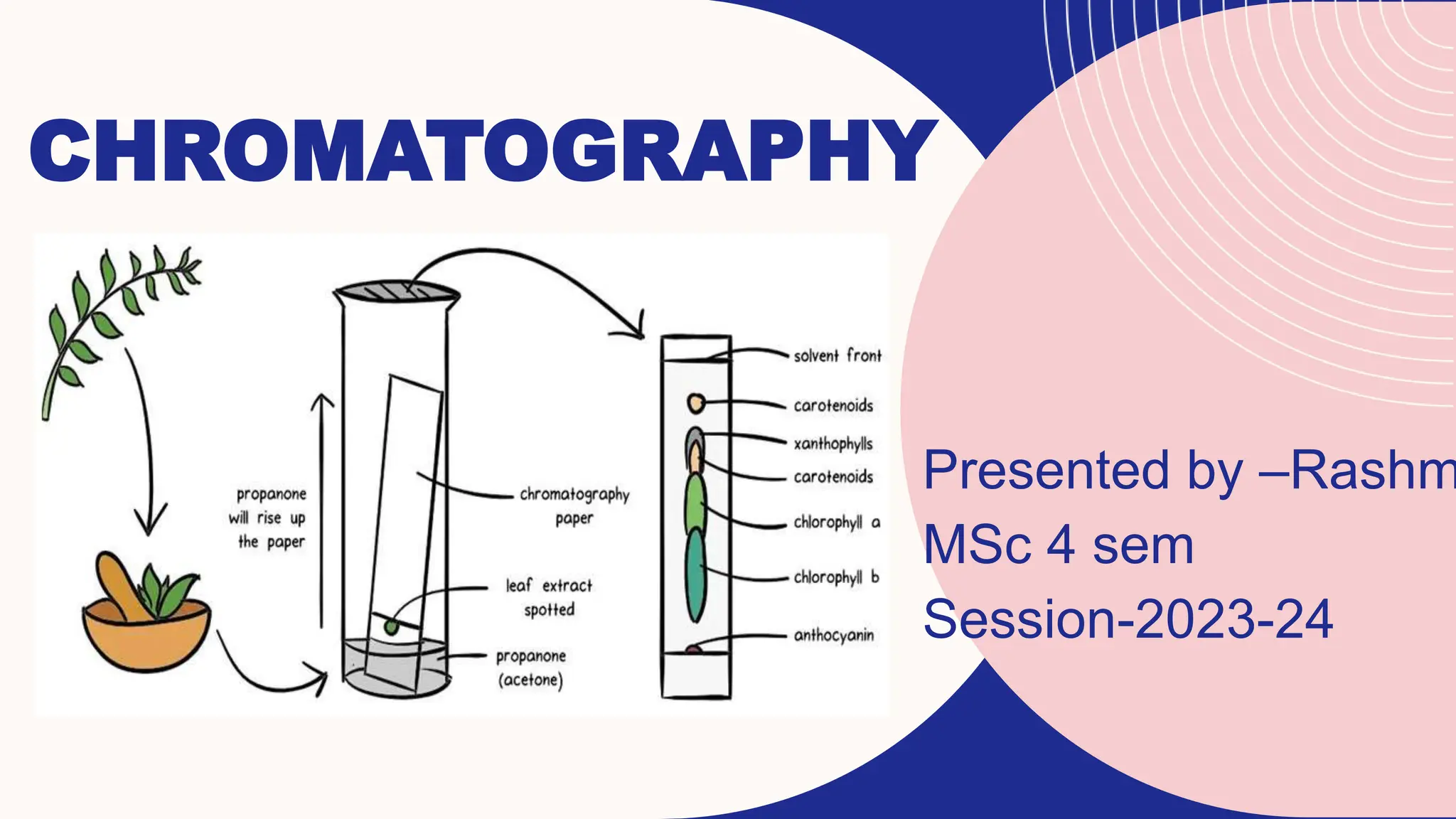 CHROMATOGRAPHY and its types with procedure,diagrams,flow charts