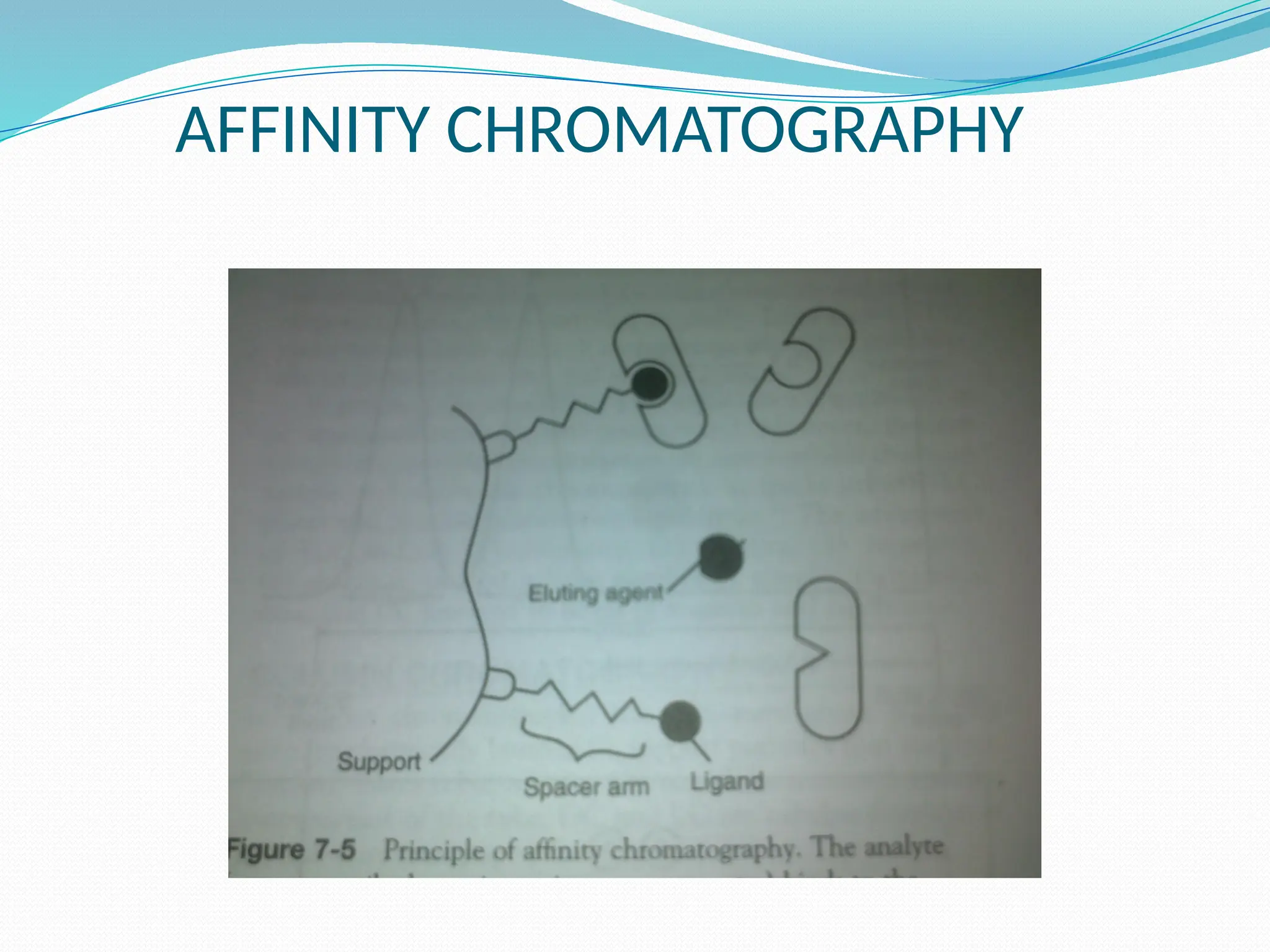 AFFINITY CHROMATOGRAPHY
 