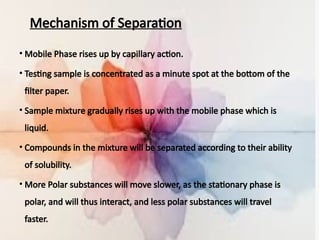 presentation on the basics of chromatography final.pptx