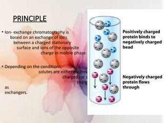 presentation on the basics of chromatography final.pptx