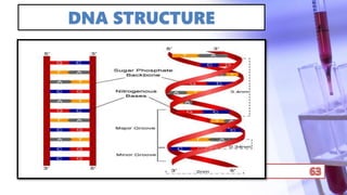 DNA STRUCTURE
 