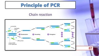 Principle of PCR
 