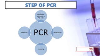 STEP OF PCR
PCR
Ingredients
assembled in
PCR Tube
Denaturation
Annealing
Extension
 