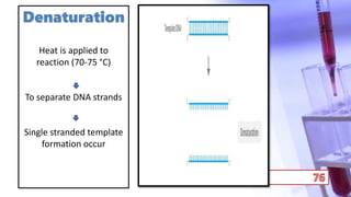 Denaturation
Heat is applied to
reaction (70-75 °C)
To separate DNA strands
Single stranded template
formation occur
 