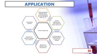 APPLICATION
Genetic engineering
Diagnosing genetic
disorder and so
preventing disease
by screening before
birth, e.g - CF
Genetic
fingerprinting –
from sample of
blood, semen, hair
In Archaeology to
identify human or
animals from
samples
Detection of
Infection in the
Environment
Detection of
infectious diseases,
e.g – Covid 19
Personalized
medicine
 