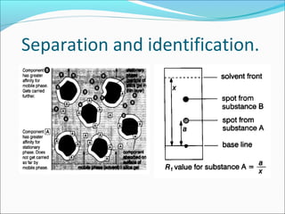 Separation and identification.
 
