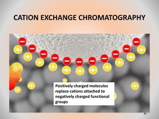 CATION EXCHANGE CHROMATOGRAPHY
11
Positively charged molecules
replace cations attached to
negatively charged functional
groups
 