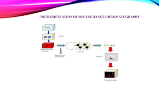 INSTRUMENTATION OF ION EXCHANGE CHROMATOGRAPHY
 