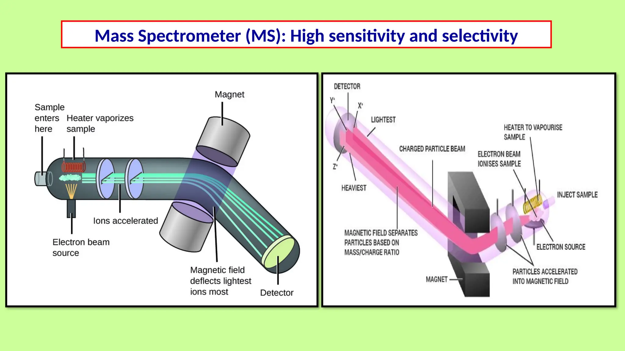 Mass Spectrometer (MS): High sensitivity and selectivity
 
