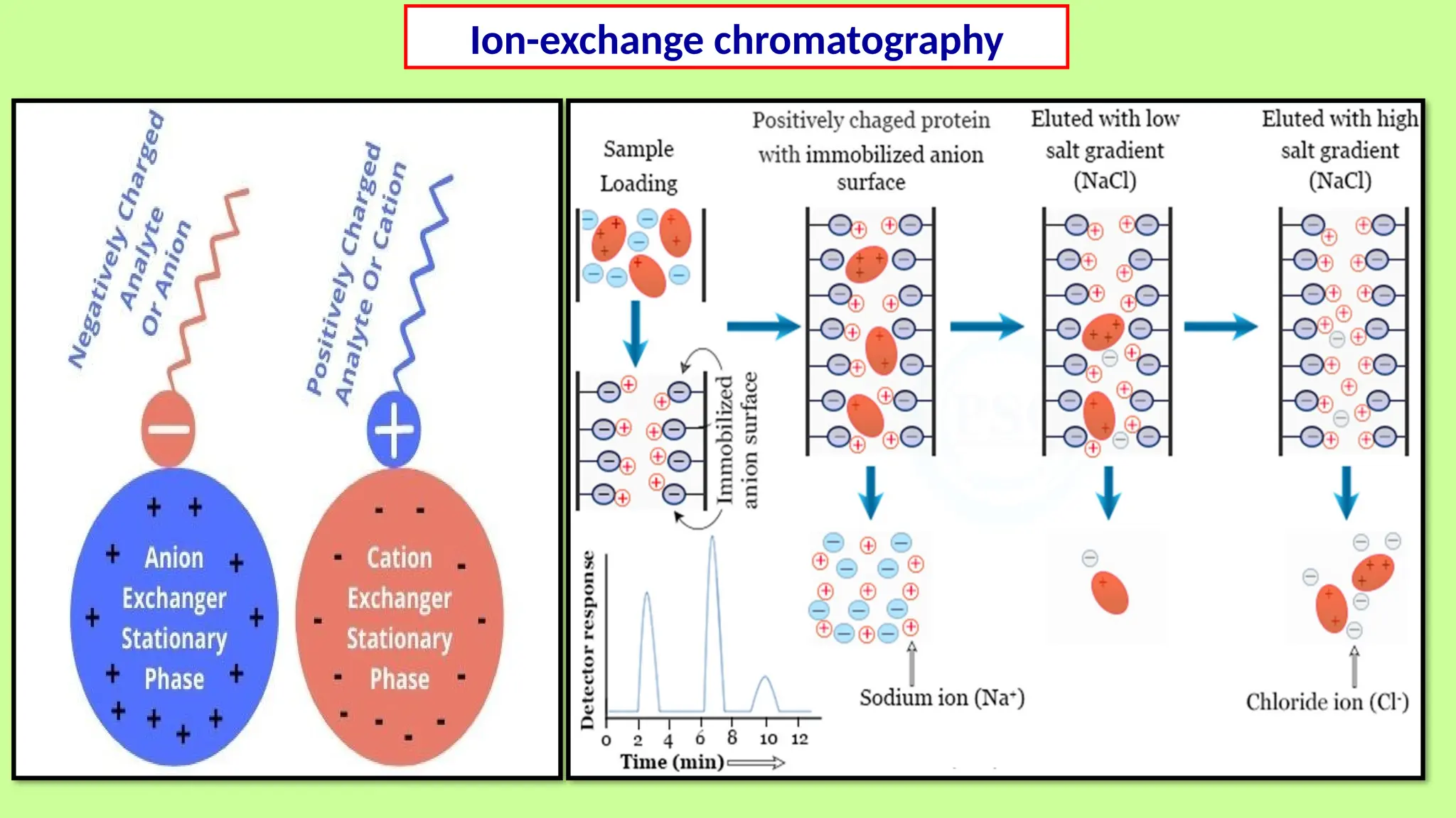 Ion-exchange chromatography
 