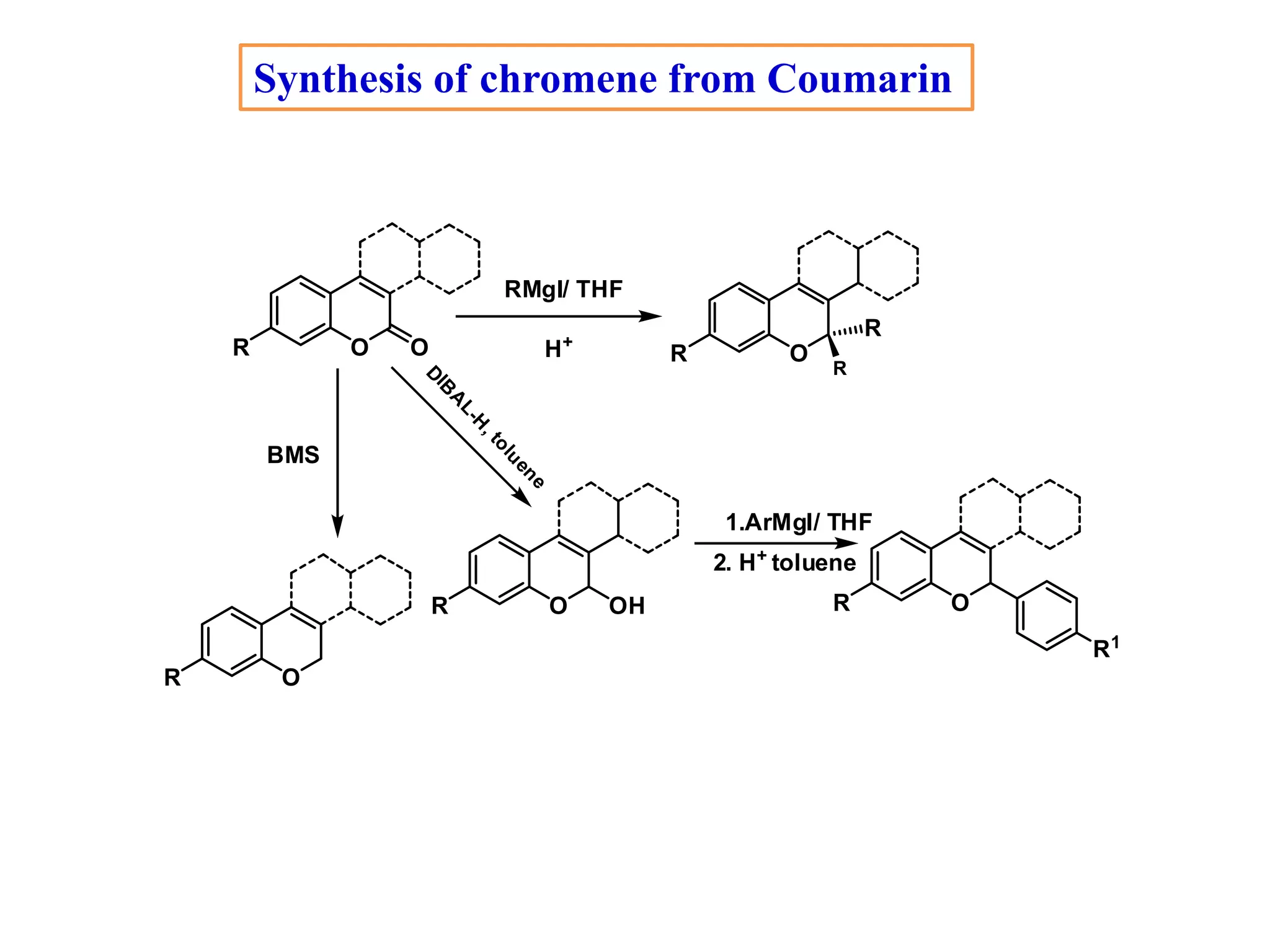 O OR OR
OR
O OHR OR
R
R1
RMgI/ THF
H+
BMS
1.ArMgI/ THF
R
D
IB
A
L-H
,toluene
2. H+ toluene
Synthesis of chromene from Coumarin
 