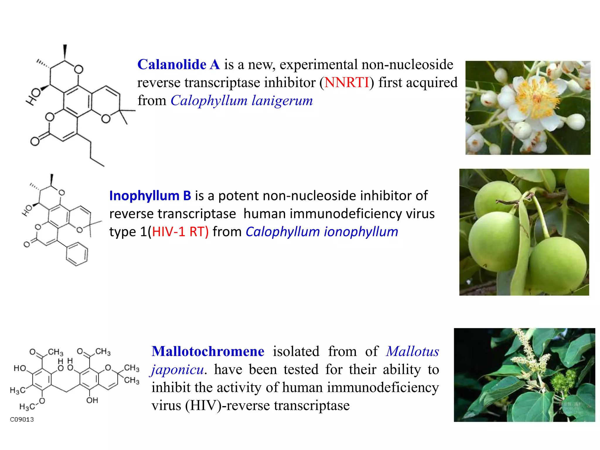 Calanolide A is a new, experimental non-nucleoside
reverse transcriptase inhibitor (NNRTI) first acquired
from Calophyllum lanigerum
Inophyllum B is a potent non-nucleoside inhibitor of
reverse transcriptase human immunodeficiency virus
type 1(HIV-1 RT) from Calophyllum ionophyllum
Mallotochromene isolated from of Mallotus
japonicu. have been tested for their ability to
inhibit the activity of human immunodeficiency
virus (HIV)-reverse transcriptase
 