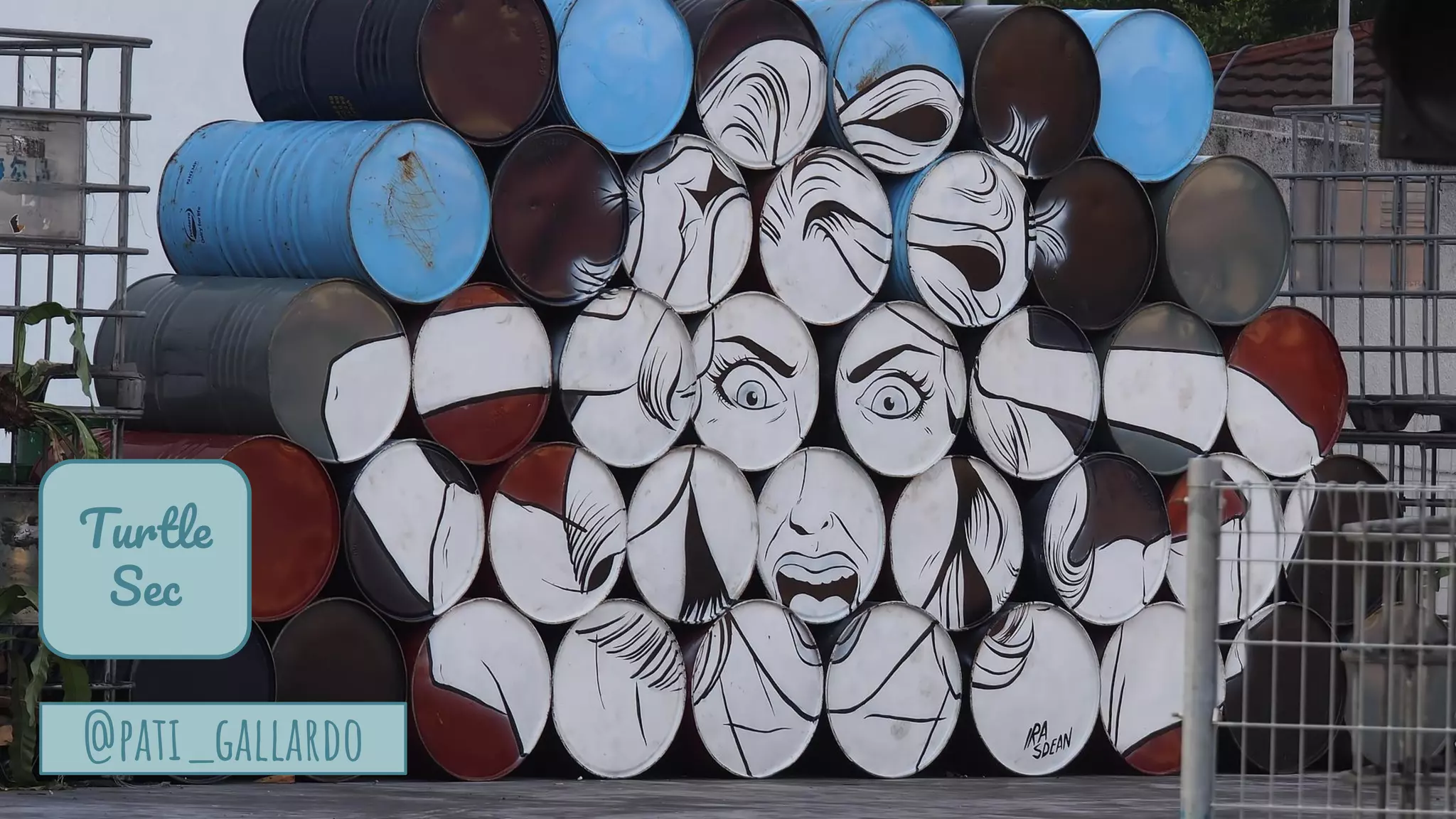 @pati_gallardo
Turtle
Sec
 