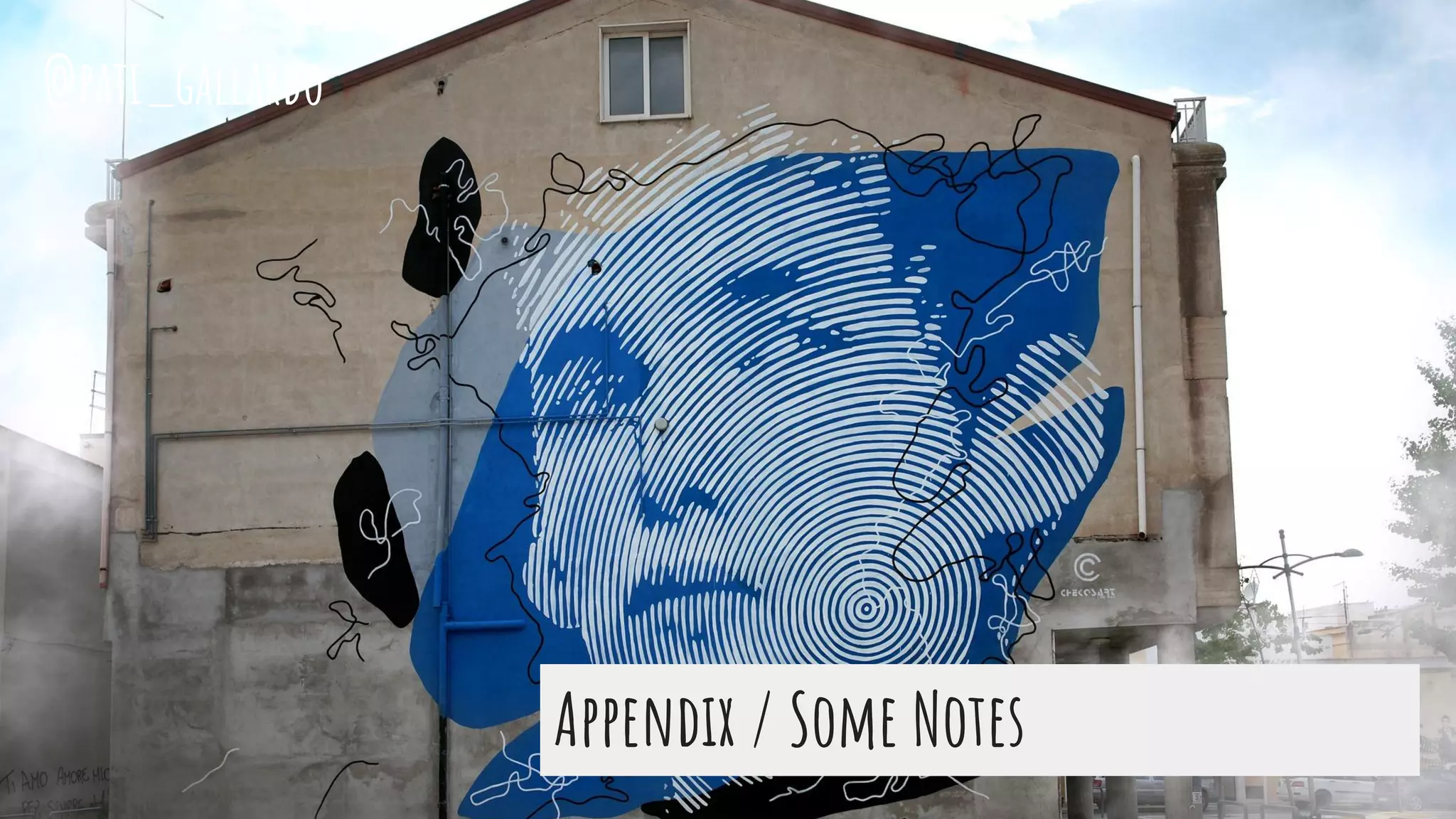 Appendix / Some Notes
@pati_gallardo
 