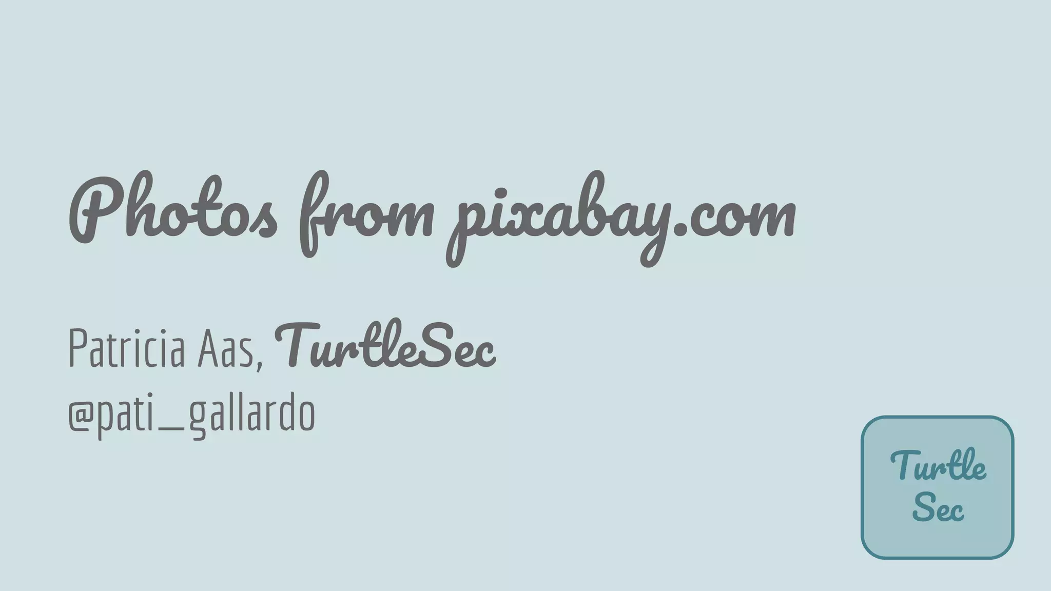 Photos from pixabay.com
Patricia Aas, TurtleSec
@pati_gallardo
Turtle
Sec
 