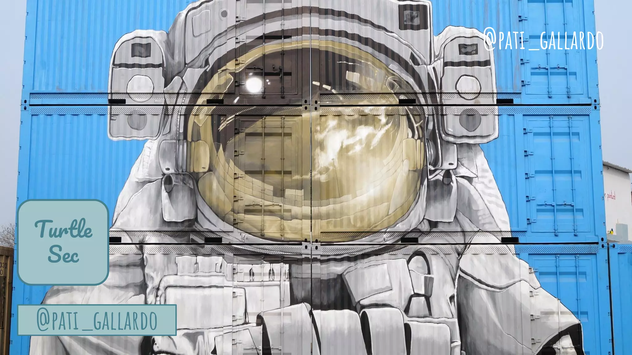 @pati_gallardo
@pati_gallardo
Turtle
Sec
 