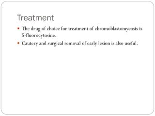 Treatment
 The drug of choice for treatment of chromoblastomycosis is
5-fluorocytosine.
 Cautery and surgical removal of early lesion is also useful.
 