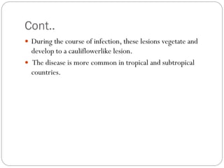 Cont..
 During the course of infection, these lesions vegetate and
develop to a cauliflowerlike lesion.
 The disease is more common in tropical and subtropical
countries.
 