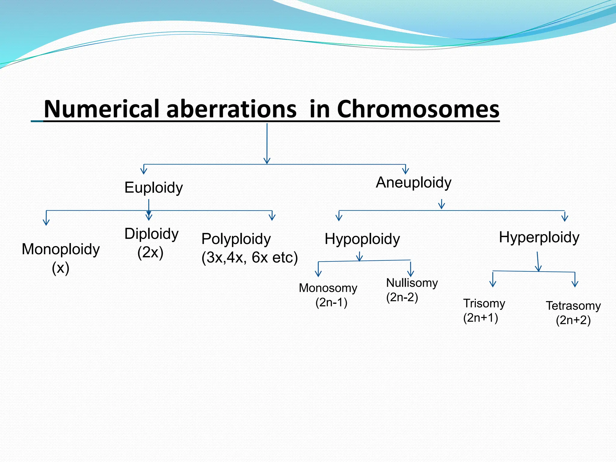 Numerical aberrations in Chromosomes
Euploidy Aneuploidy
Monoploidy
(x)
Diploidy
(2x)
Polyploidy
(3x,4x, 6x etc)
Hyperploidy
Hypoploidy
Trisomy
(2n+1)
Tetrasomy
(2n+2)
Monosomy
(2n-1)
Nullisomy
(2n-2)
 