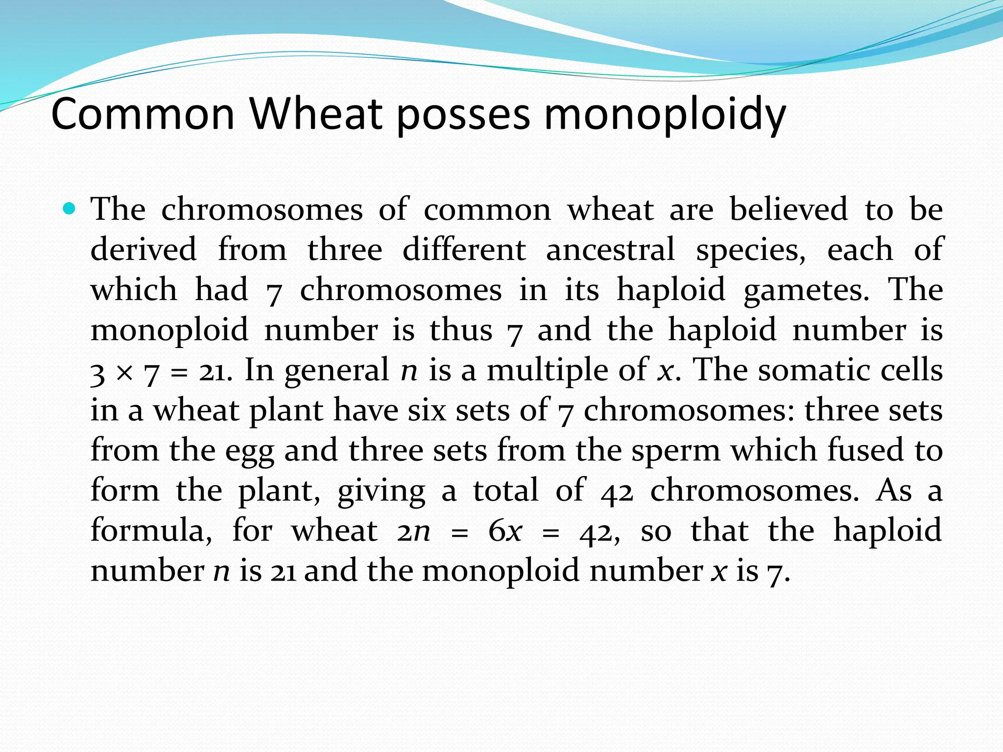 Common Wheat posses monoploidy
 The chromosomes of common wheat are believed to be
derived from three different ancestral species, each of
which had 7 chromosomes in its haploid gametes. The
monoploid number is thus 7 and the haploid number is
3 × 7 = 21. In general n is a multiple of x. The somatic cells
in a wheat plant have six sets of 7 chromosomes: three sets
from the egg and three sets from the sperm which fused to
form the plant, giving a total of 42 chromosomes. As a
formula, for wheat 2n = 6x = 42, so that the haploid
number n is 21 and the monoploid number x is 7.
 