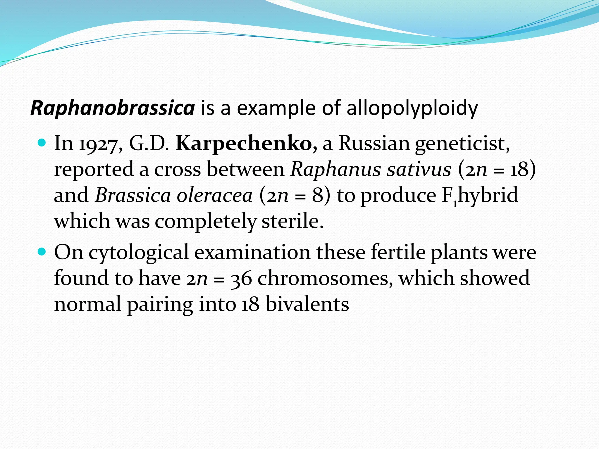 Raphanobrassica is a example of allopolyploidy
 In 1927, G.D. Karpechenko, a Russian geneticist,
reported a cross between Raphanus sativus (2n = 18)
and Brassica oleracea (2n = 8) to produce F1hybrid
which was completely sterile.
 On cytological examination these fertile plants were
found to have 2n = 36 chromosomes, which showed
normal pairing into 18 bivalents
 