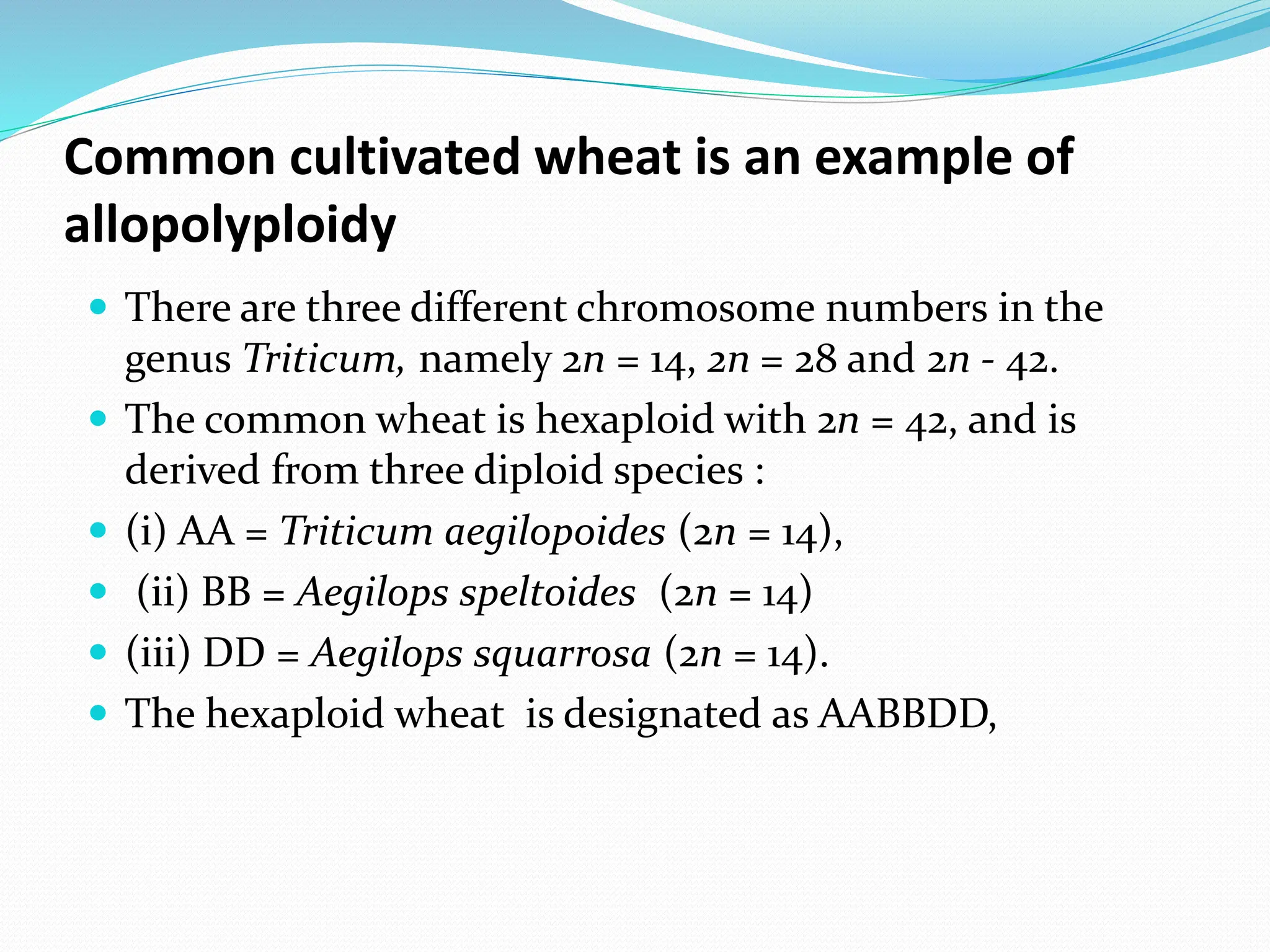 Common cultivated wheat is an example of
allopolyploidy
 There are three different chromosome numbers in the
genus Triticum, namely 2n = 14, 2n = 28 and 2n - 42.
 The common wheat is hexaploid with 2n = 42, and is
derived from three diploid species :
 (i) AA = Triticum aegilopoides (2n = 14),
 (ii) BB = Aegilops speltoides (2n = 14)
 (iii) DD = Aegilops squarrosa (2n = 14).
 The hexaploid wheat is designated as AABBDD,
 