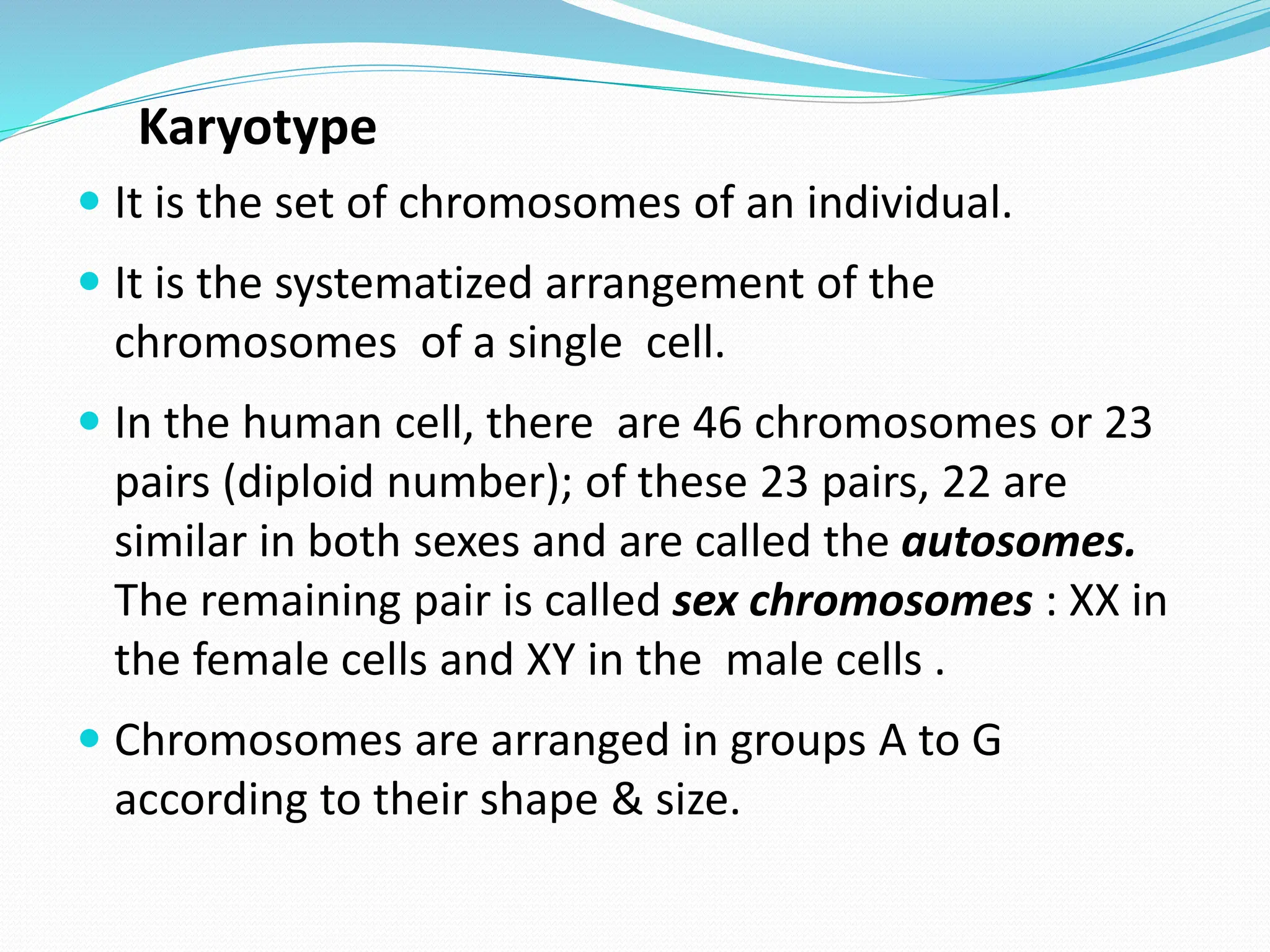 Karyotype
 It is the set of chromosomes of an individual.
 It is the systematized arrangement of the
chromosomes of a single cell.
 In the human cell, there are 46 chromosomes or 23
pairs (diploid number); of these 23 pairs, 22 are
similar in both sexes and are called the autosomes.
The remaining pair is called sex chromosomes : XX in
the female cells and XY in the male cells .
 Chromosomes are arranged in groups A to G
according to their shape & size.
 