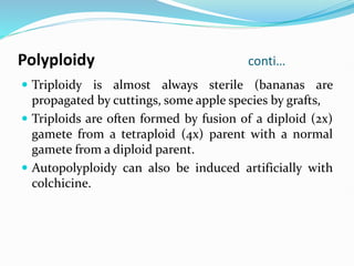 Polyploidy conti…
 Triploidy is almost always sterile (bananas are
propagated by cuttings, some apple species by grafts,
 Triploids are often formed by fusion of a diploid (2x)
gamete from a tetraploid (4x) parent with a normal
gamete from a diploid parent.
 Autopolyploidy can also be induced artificially with
colchicine.
 
