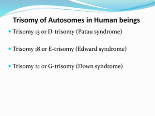 Trisomy of Autosomes in Human beings
 Trisomy 13 or D-trisomy (Patau syndrome)
 Trisomy 18 or E-trisomy (Edward syndrome)
 Trisomy 21 or G-trisomy (Down syndrome)
 