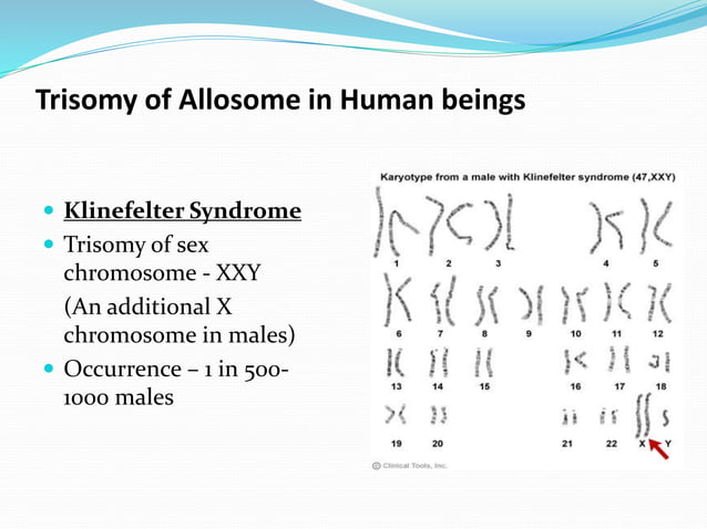 Chromosomal-Aberrations. | PPT