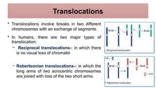 Chromosomal-Abnormalitiesssss,abnormal.pptx