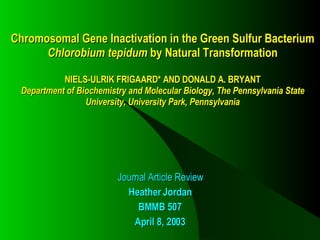 Chromosomal Gene Inactivation in the Green Sulfur Bacterium Chlorobium tepidum  by Natural Transformation NIELS-ULRIK FRIGAARD* AND DONALD A. BRYANT Department of Biochemistry and Molecular Biology, The Pennsylvania State University, University Park, Pennsylvania Journal Article Review Heather Jordan BMMB 507 April 8, 2003 