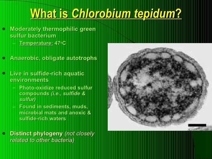 What Compounds Are Found In Natural Waters What Compounds Are Found In Natural Waters